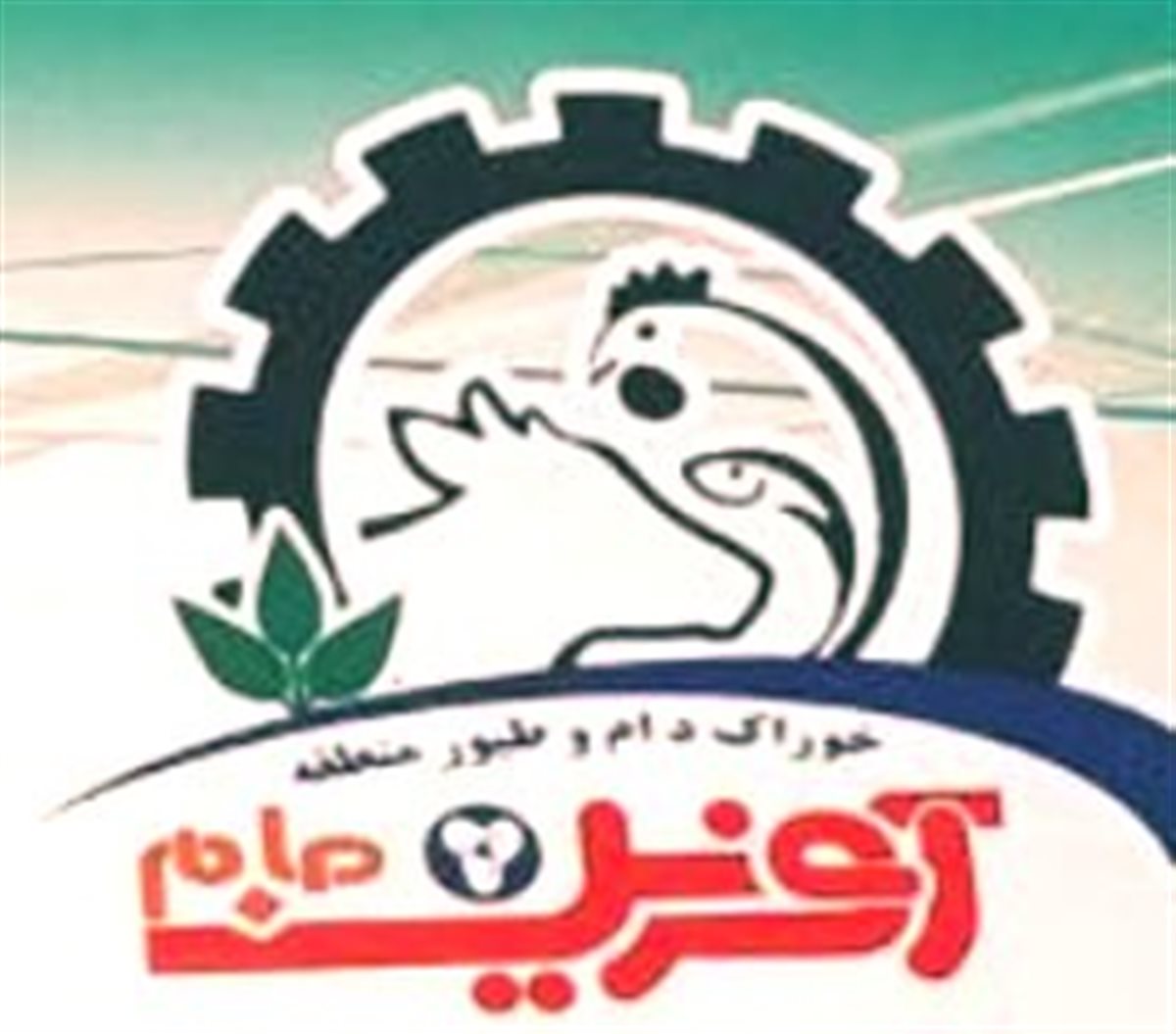 آفرین جام