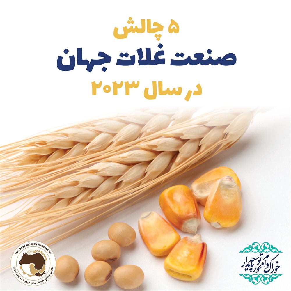 5 چالش صنعت غلات در سال 2023