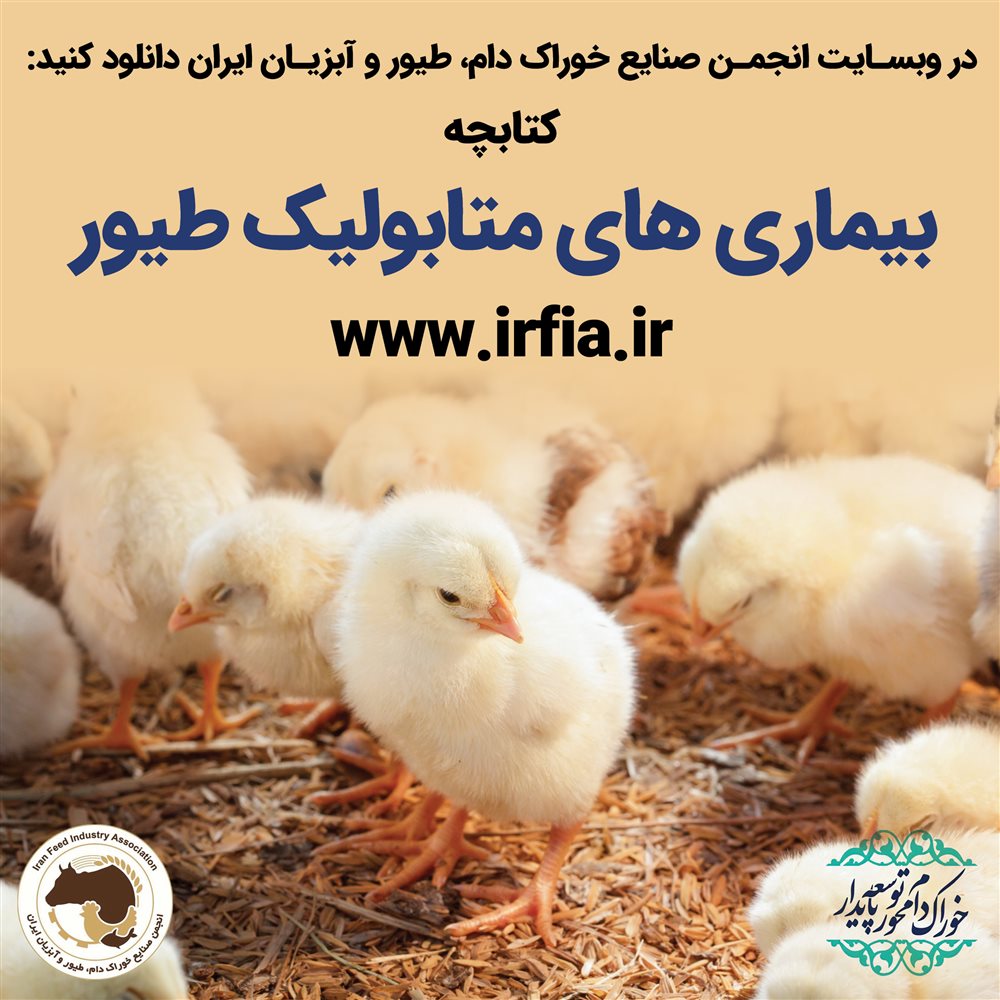 بیماری های متابولیک طیور